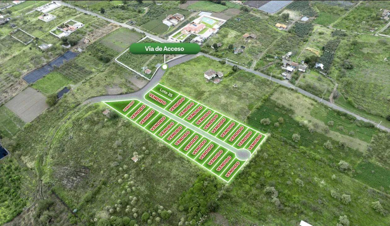 Captura de pantalla 2025-10-23 a la(s) 9.42.36 a. m.